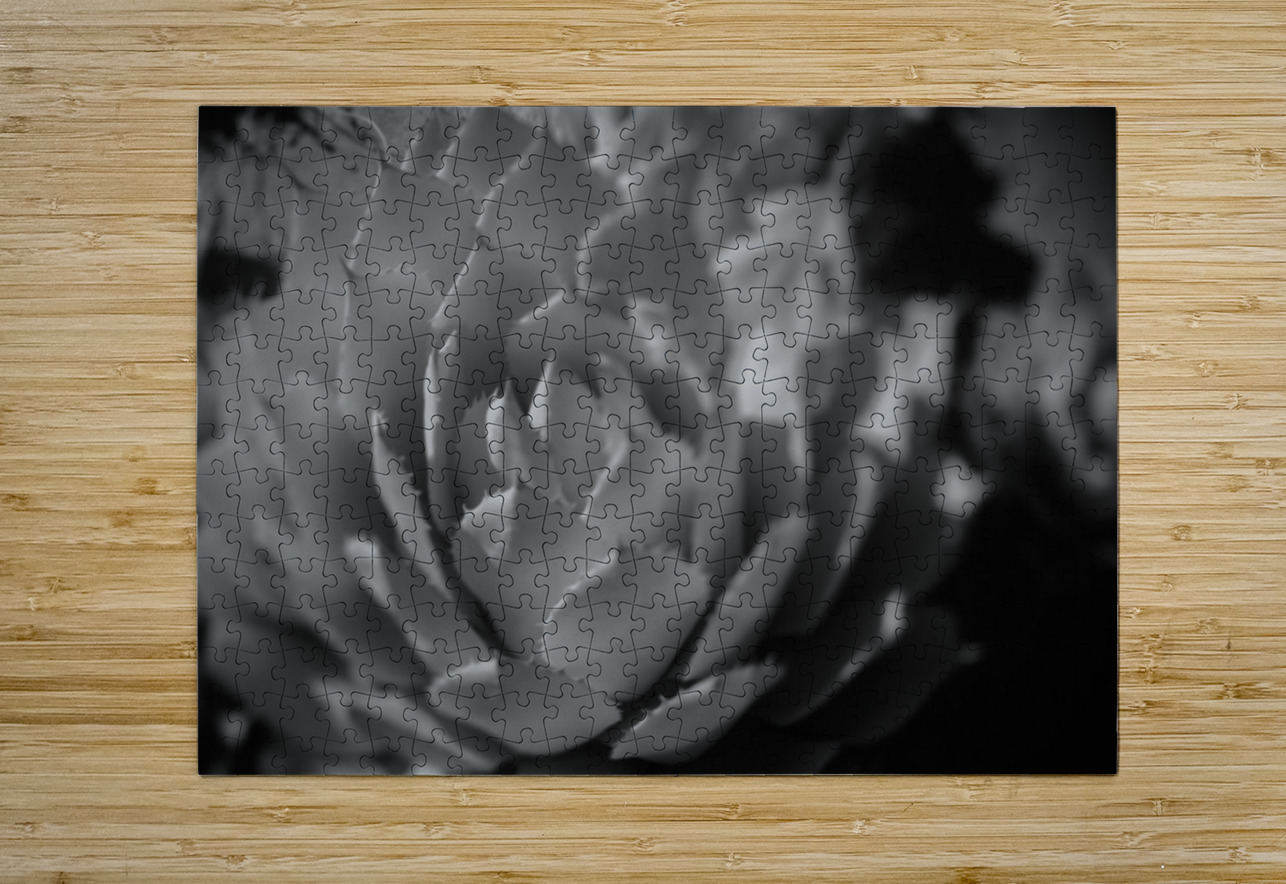 Natures Shadow Ballet Dream World Images Puzzle printing