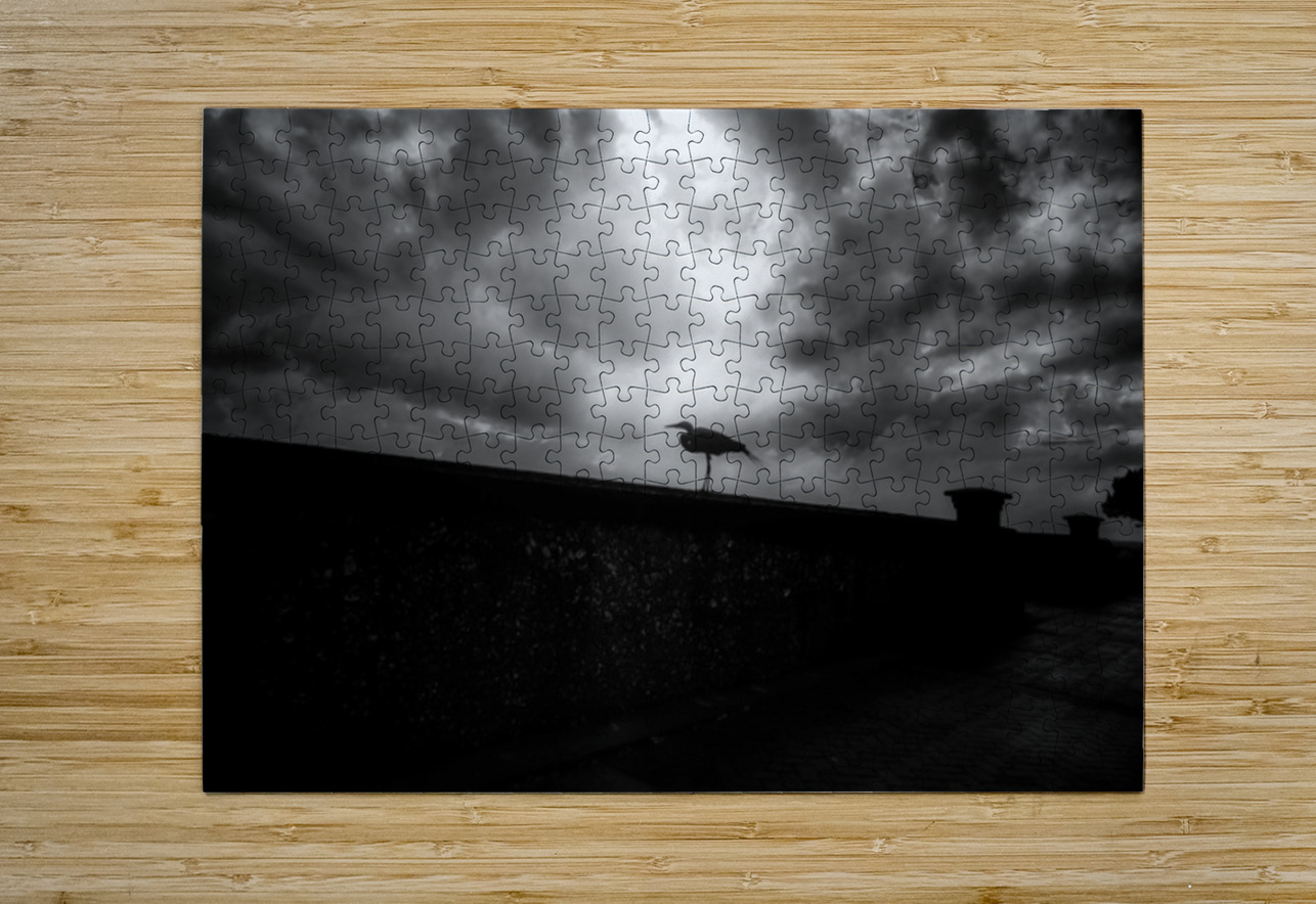 Rainy Day Stroll: Capturing Serenity with a Silhouetted Bird in  Dream World Images Puzzle printing