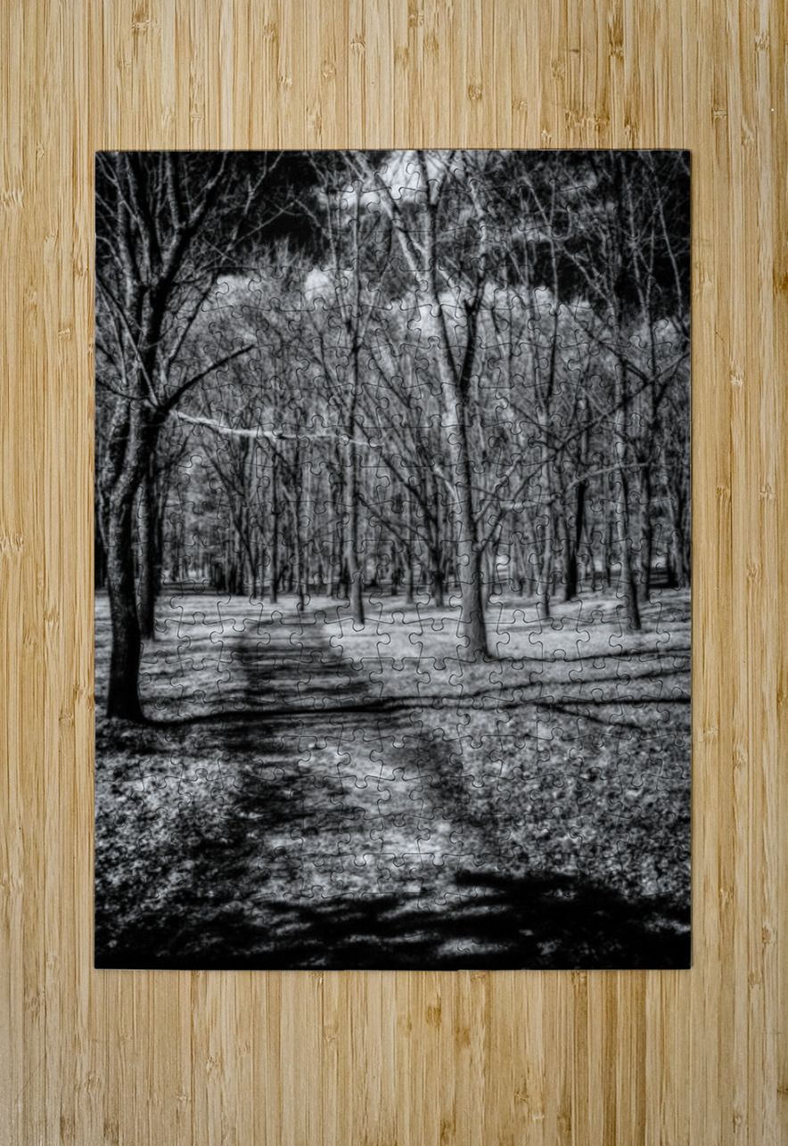 Solitary Trails: Eerie Path Near Knoxville Dream World Images Puzzle printing