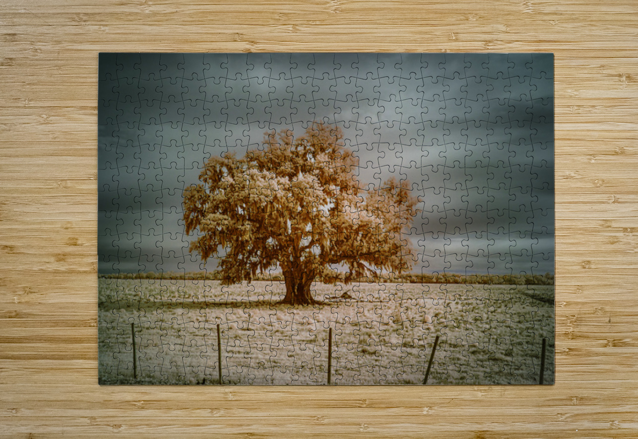 Southern Sentinel: Live Oaks Dream Dream World Images Puzzle printing