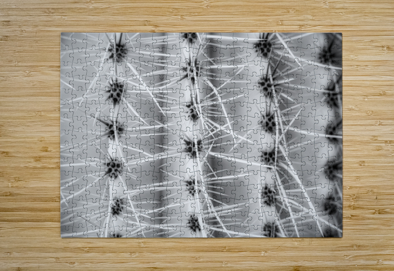 Symmetry in Spine Dream World Images Puzzle printing