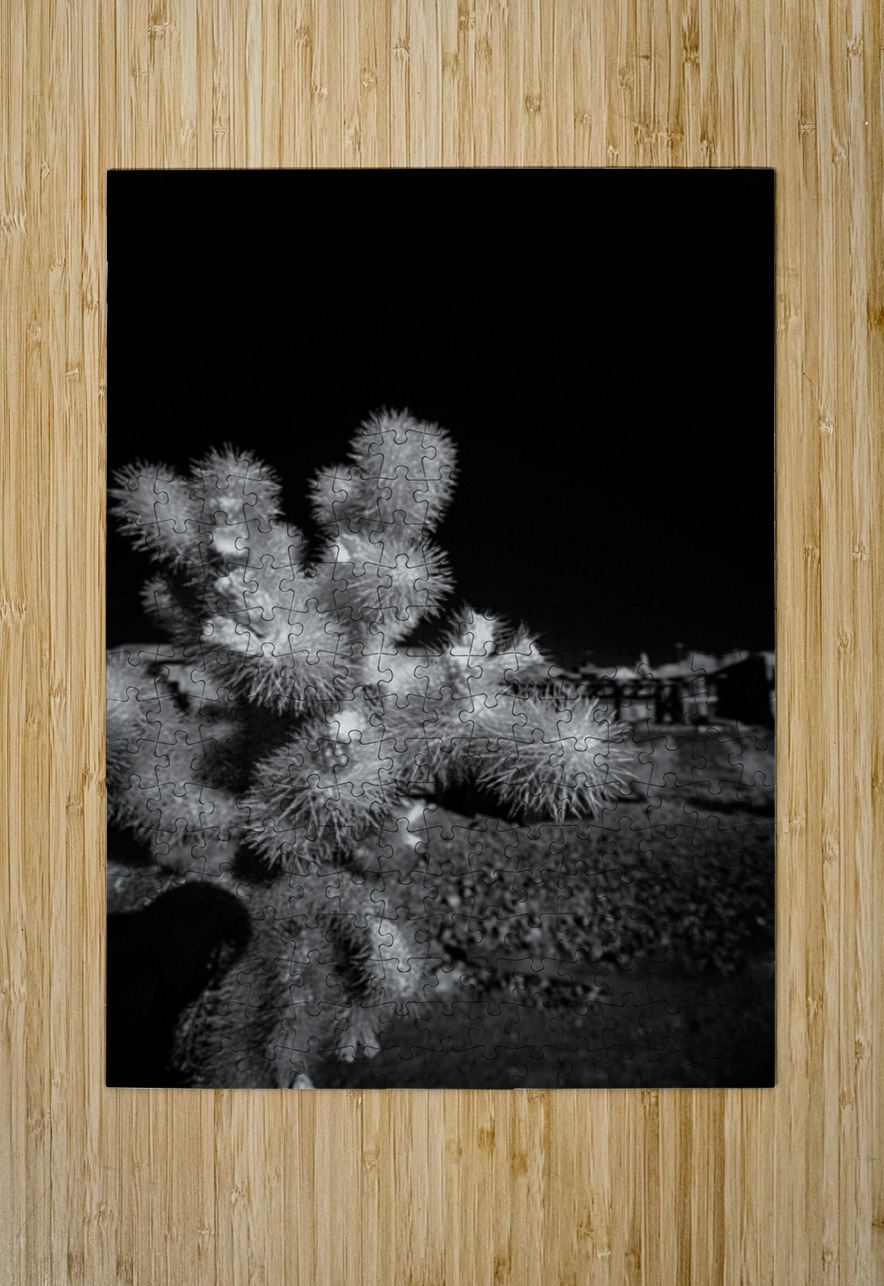 Intricate Dance of Cactus Spines Dream World Images Puzzle printing