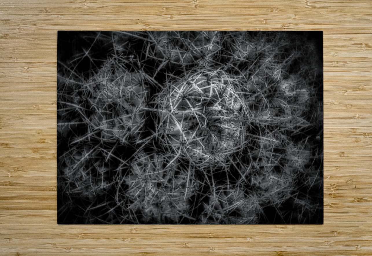 Thorny Tapestries Dream World Images Puzzle printing