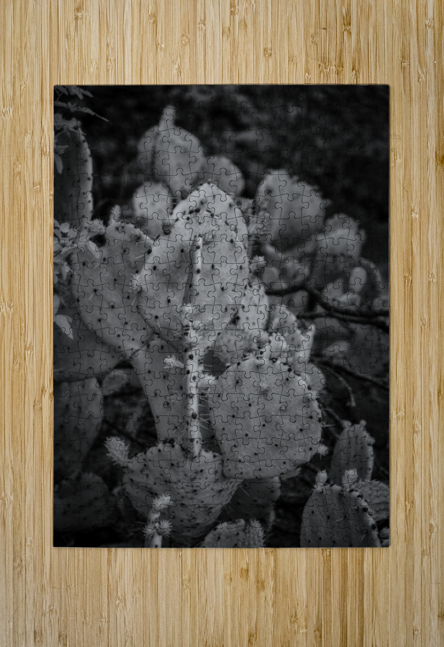 Textured Prickles Dream World Images Puzzle printing