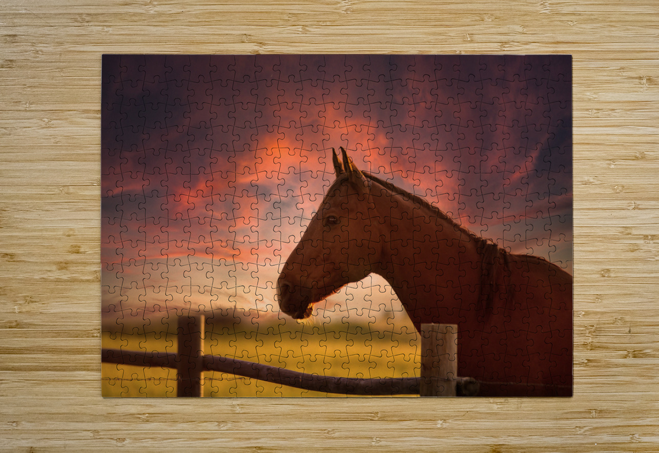 Dreams Beyond the Fence Dream World Images Puzzle printing