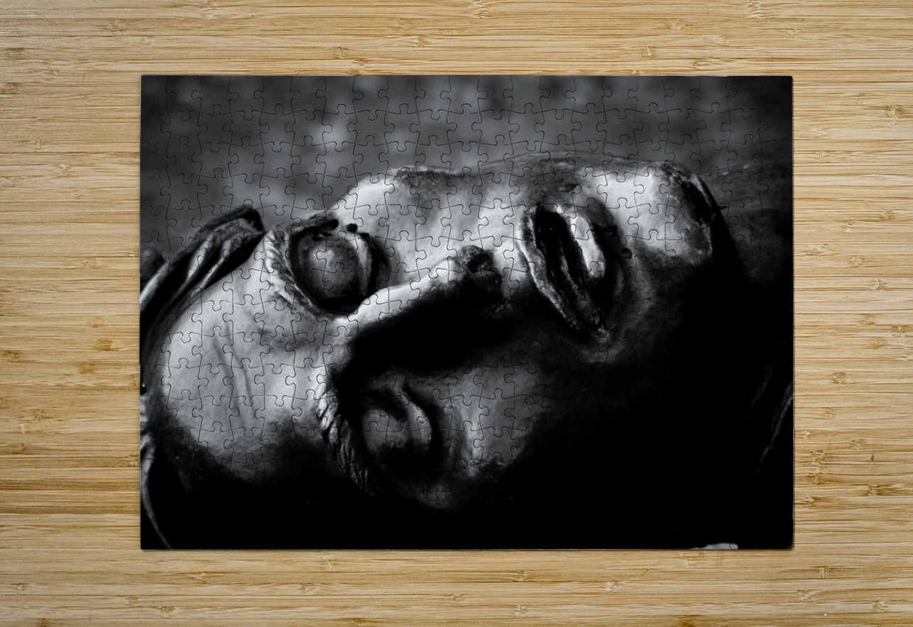 In the Eyes of War Dream World Images Puzzle printing