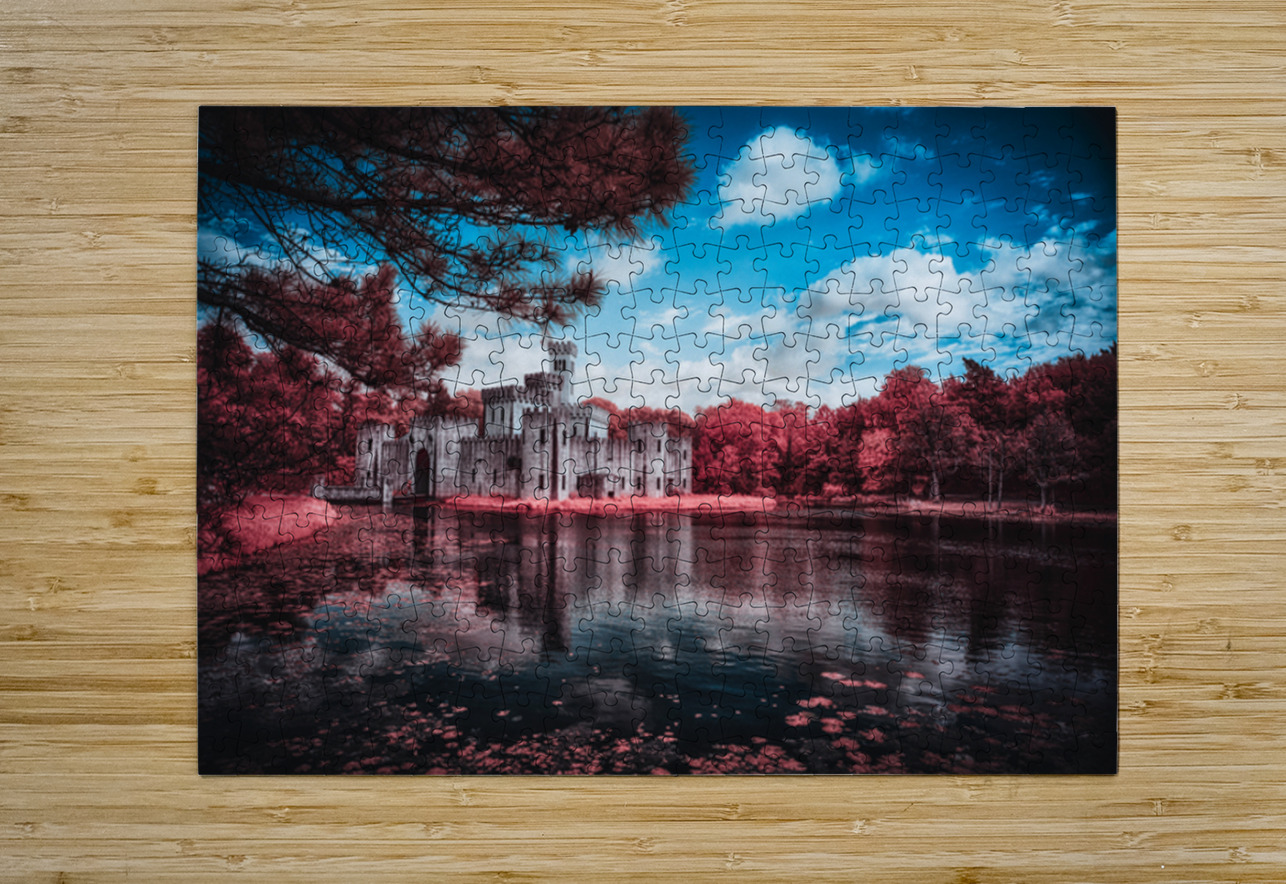Newmans Castle: A Texan Tale in Infrared Bloom Dream World Images Puzzle printing
