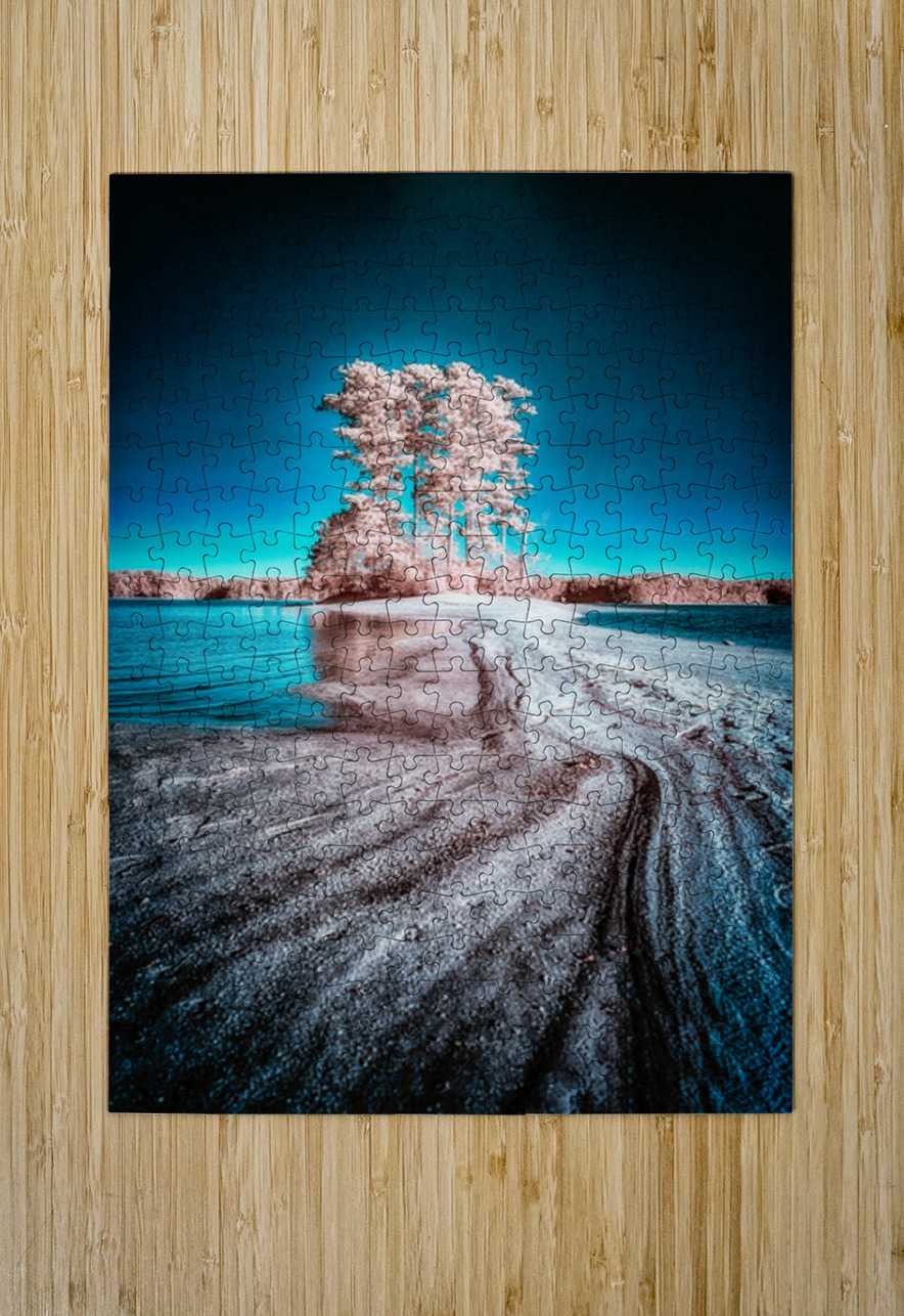 Mystical Dreamworlds: Out There in Windcreek  Dream World Images Puzzle printing