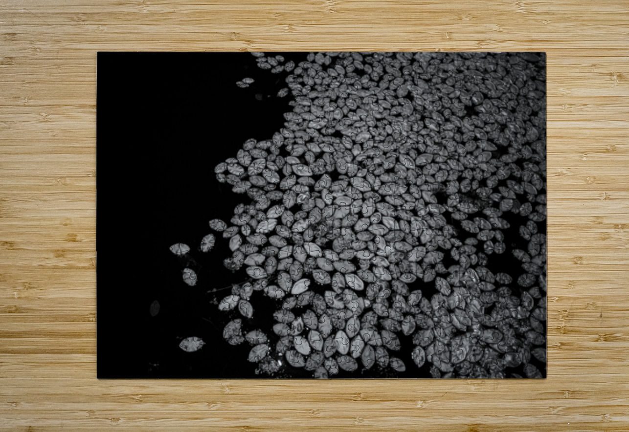 Lily Pad Dance Dream World Images Puzzle printing