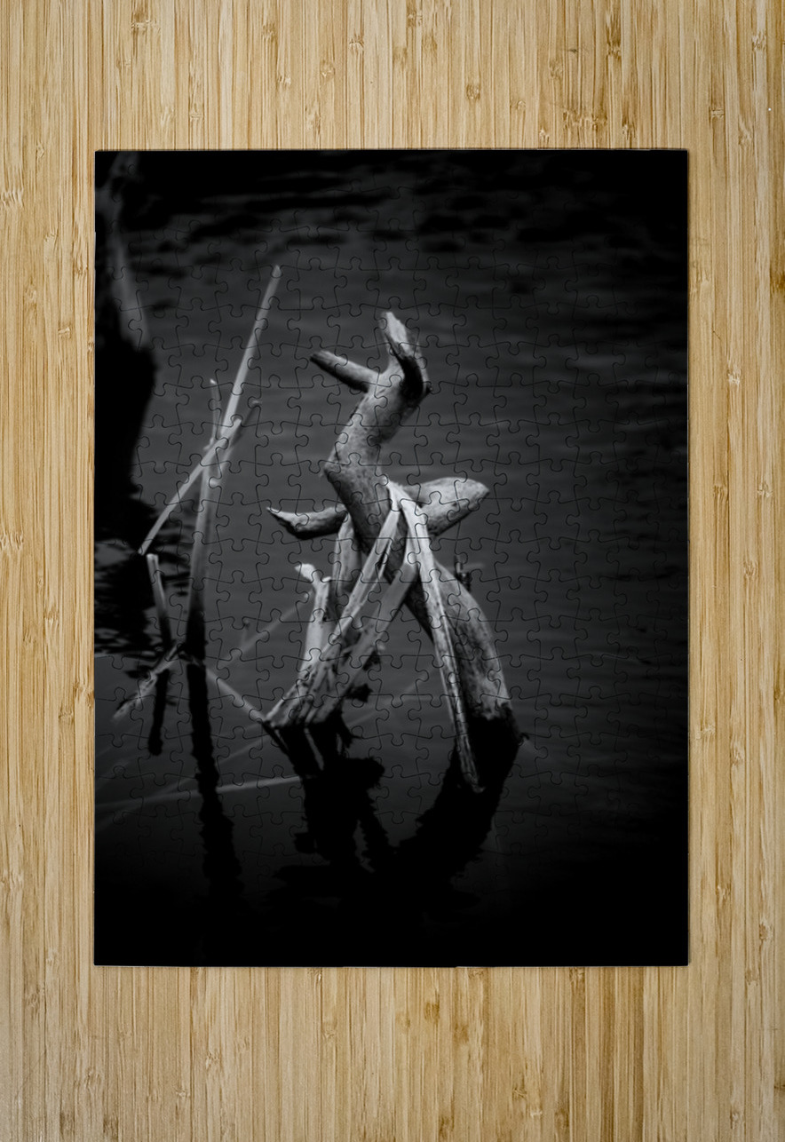 Serene Sylvan Lake: A Tale of Resilience and Reflection Dream World Images Puzzle printing