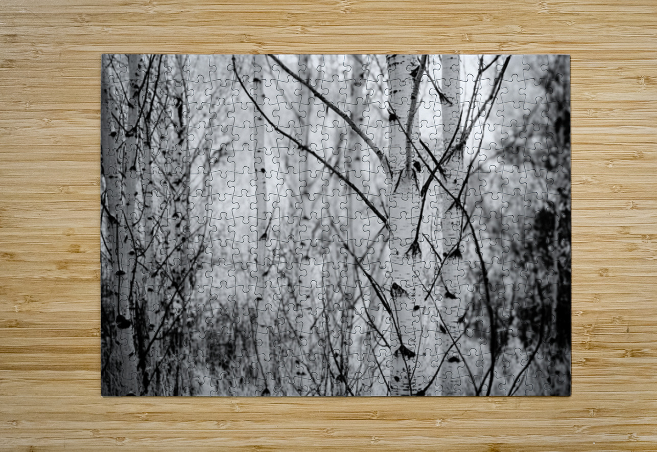 Contrasts in Woodland Quiet Dream World Images Puzzle printing