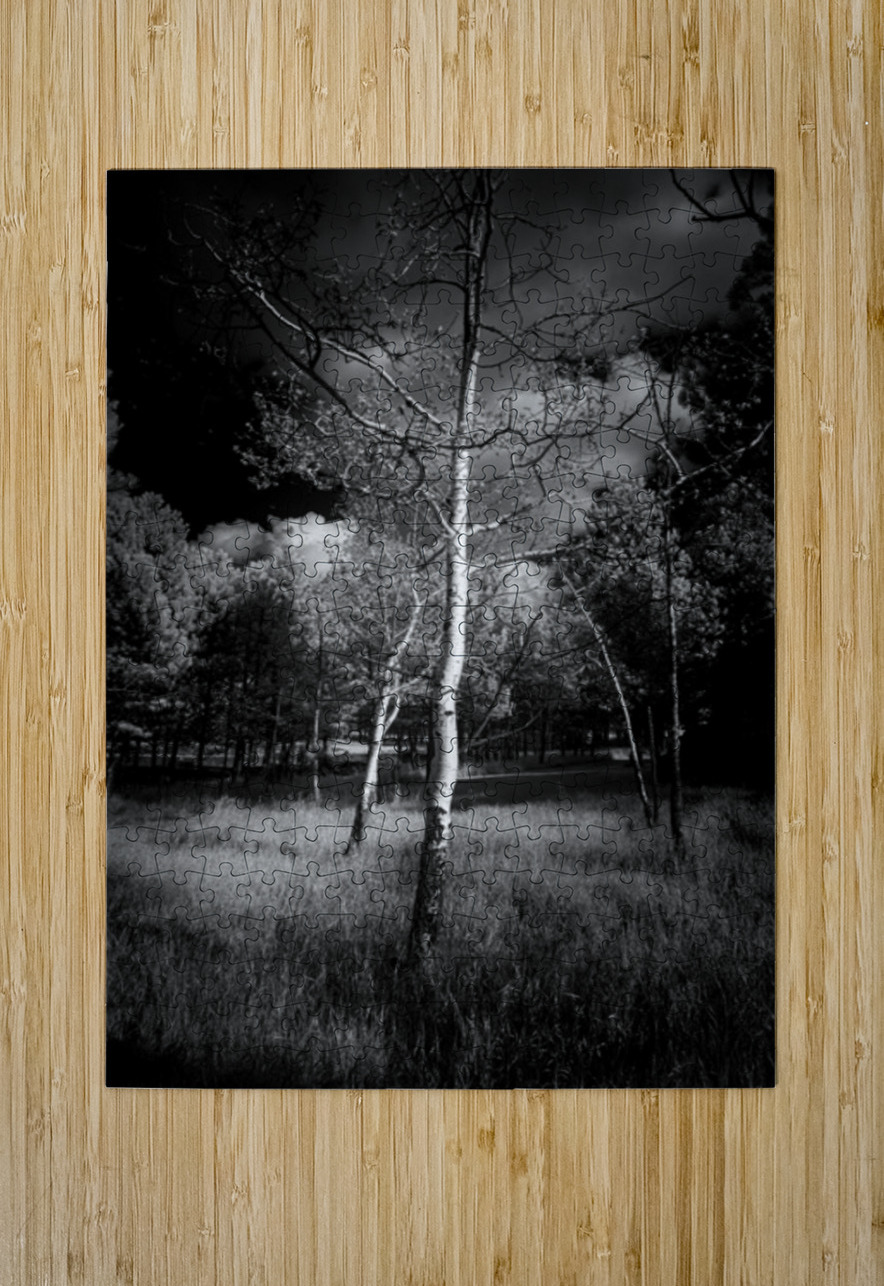 Aspen Reverie: Ansels Inspiration Dream World Images Puzzle printing