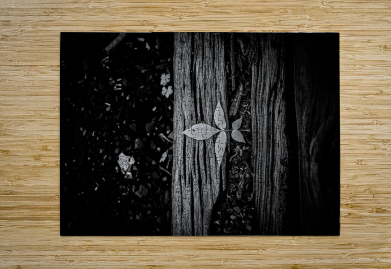 Step Above  Dream World Images Puzzle printing