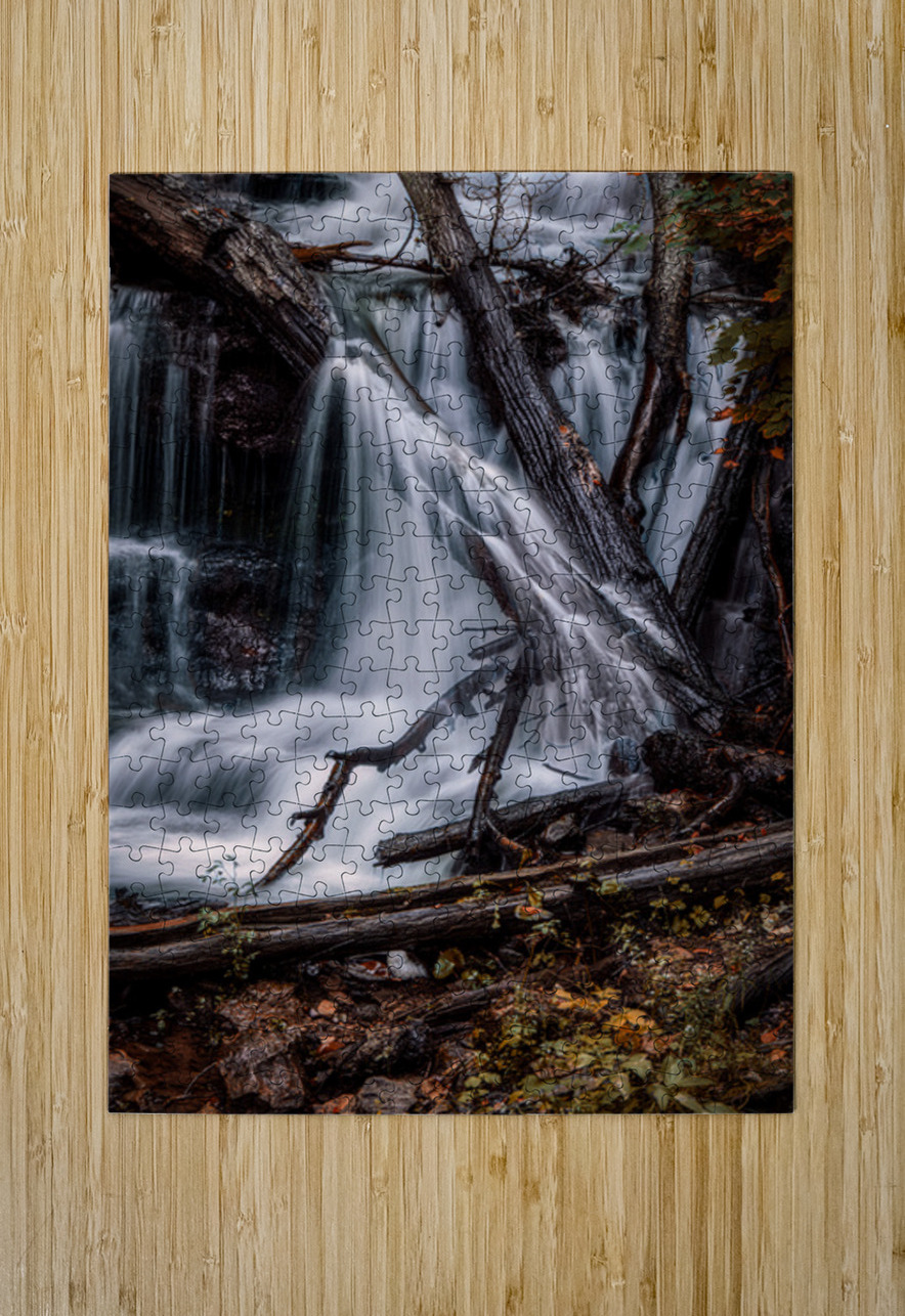 Liquid Light Through Natures Framework Dream World Images Puzzle printing