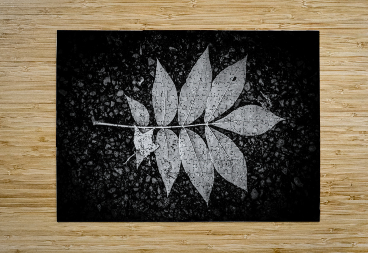 Natures Blueprint Dream World Images Puzzle printing