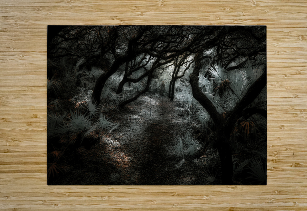 Arcadia’s Veil: The Secret Path Dream World Images Puzzle printing