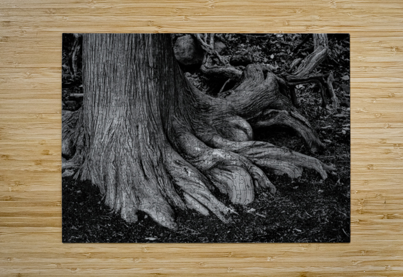 Roots of the Ancient Shore Dream World Images Puzzle printing