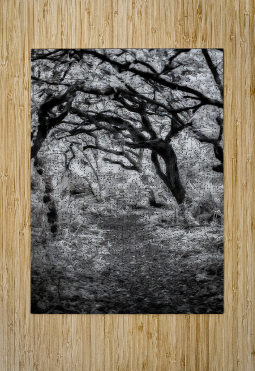 Twilight Reverie: Pathways in Shadow and Light Dream World Images Puzzle printing