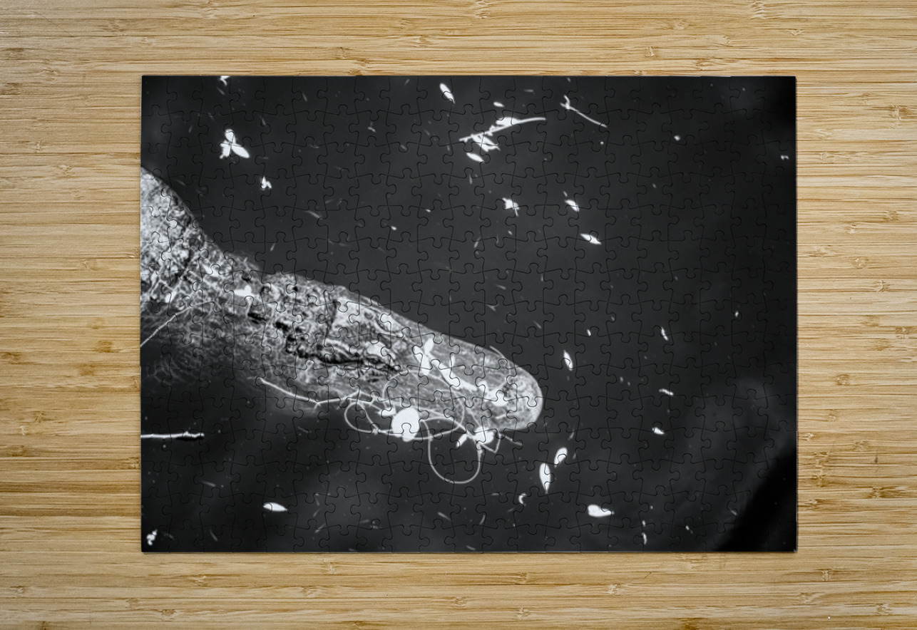 Drift Then Silence Dream World Images Puzzle printing