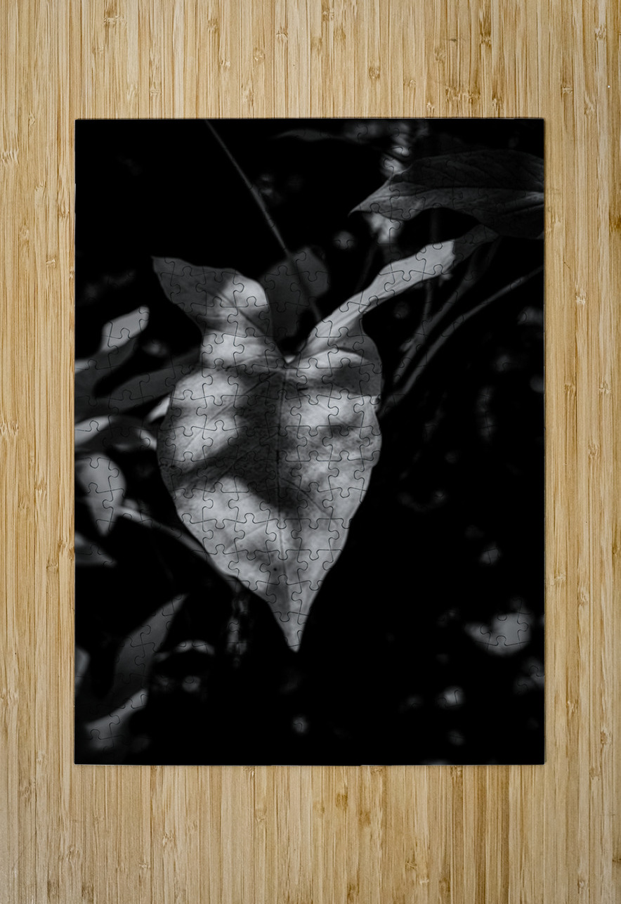 The Light That Finds Leaves Dream World Images Puzzle printing