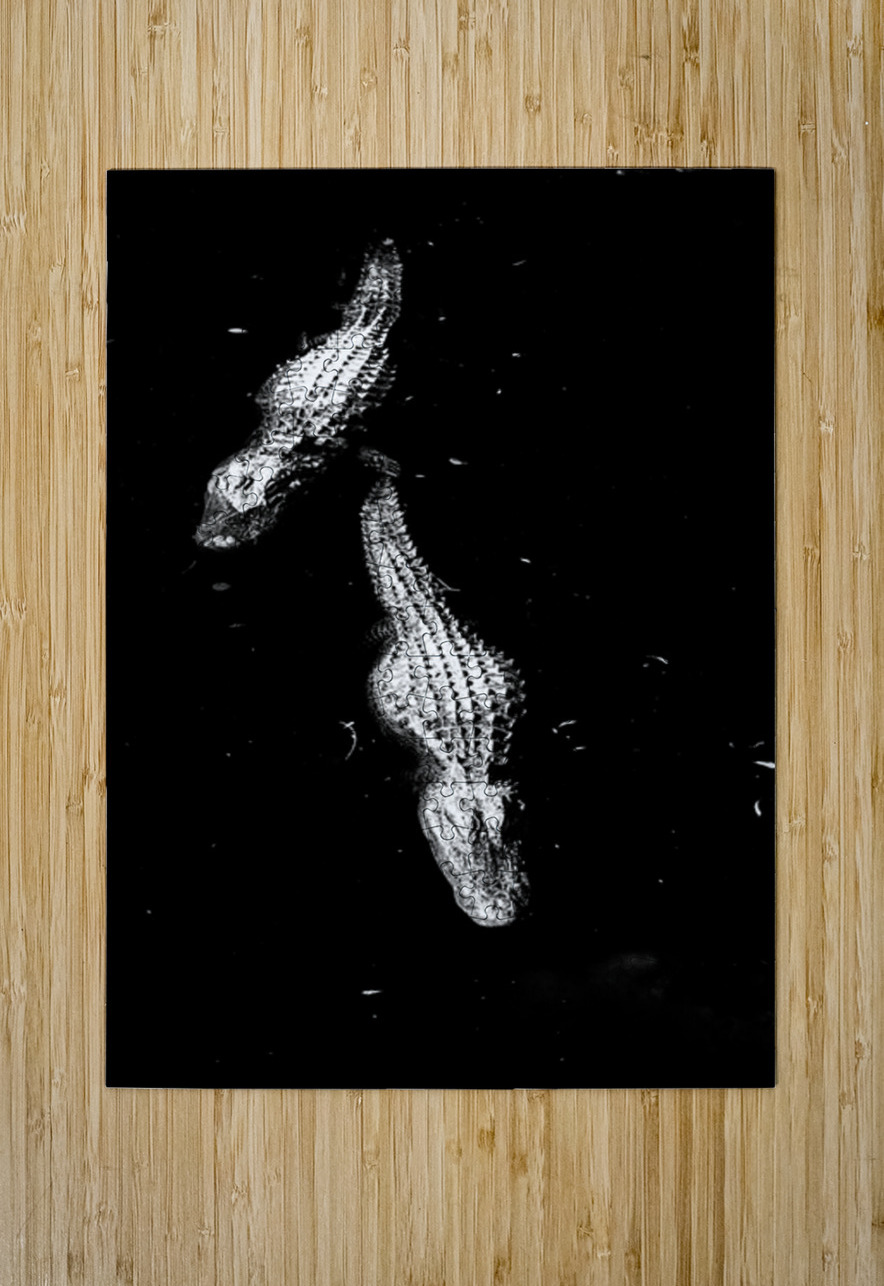 Two Shadows One Current Dream World Images Puzzle printing