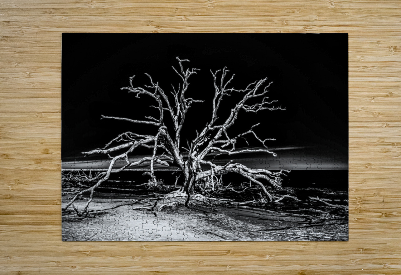 Ghost Dancer  Dream World Images Puzzle printing