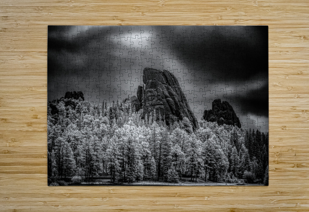 Sylvan Shadows: A Moody Encounter with Natures Drama in Custer State Park Dream World Images Puzzle printing