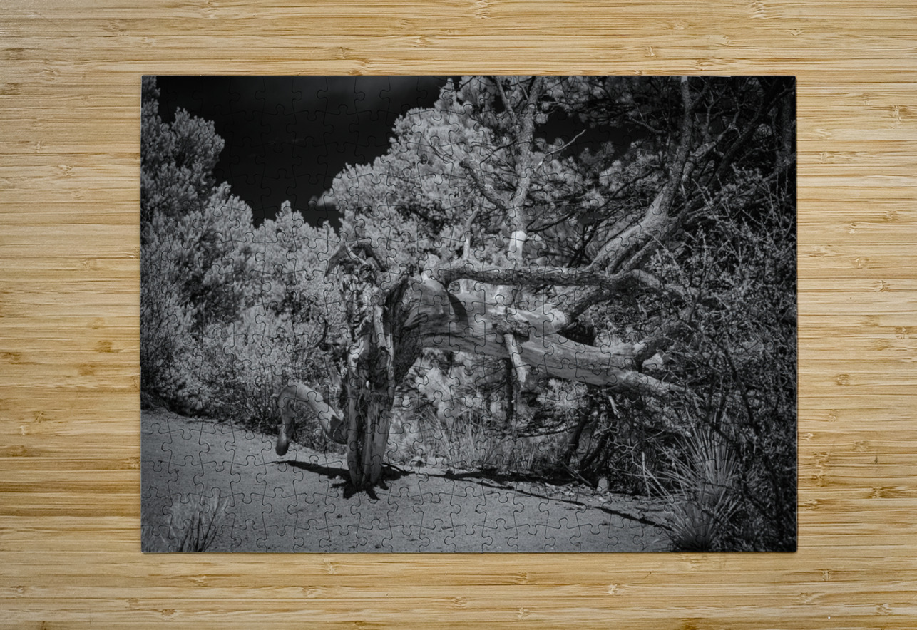 Mountain Guardians Rest Dream World Images Puzzle printing