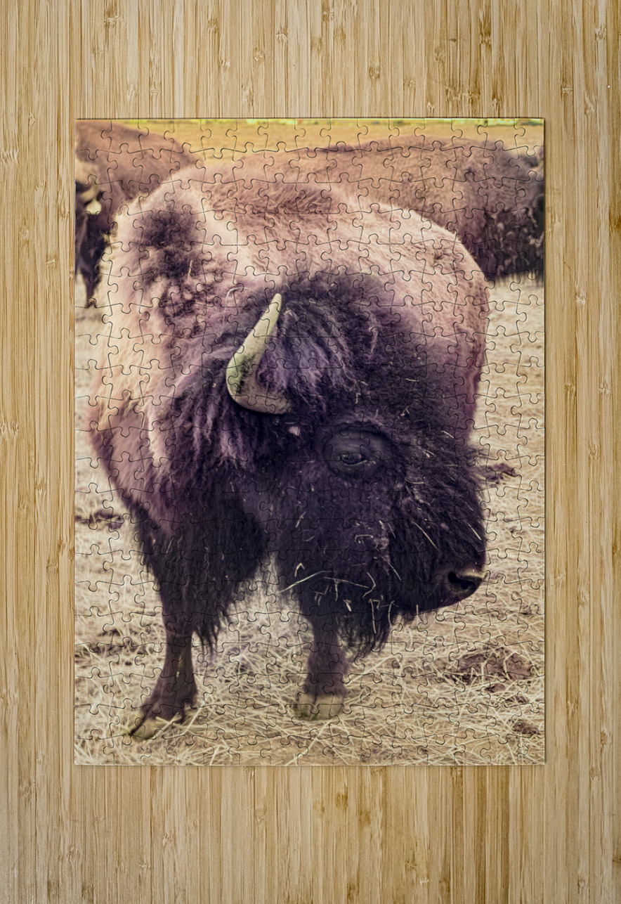 Mane of the Plains Dream World Images Puzzle printing