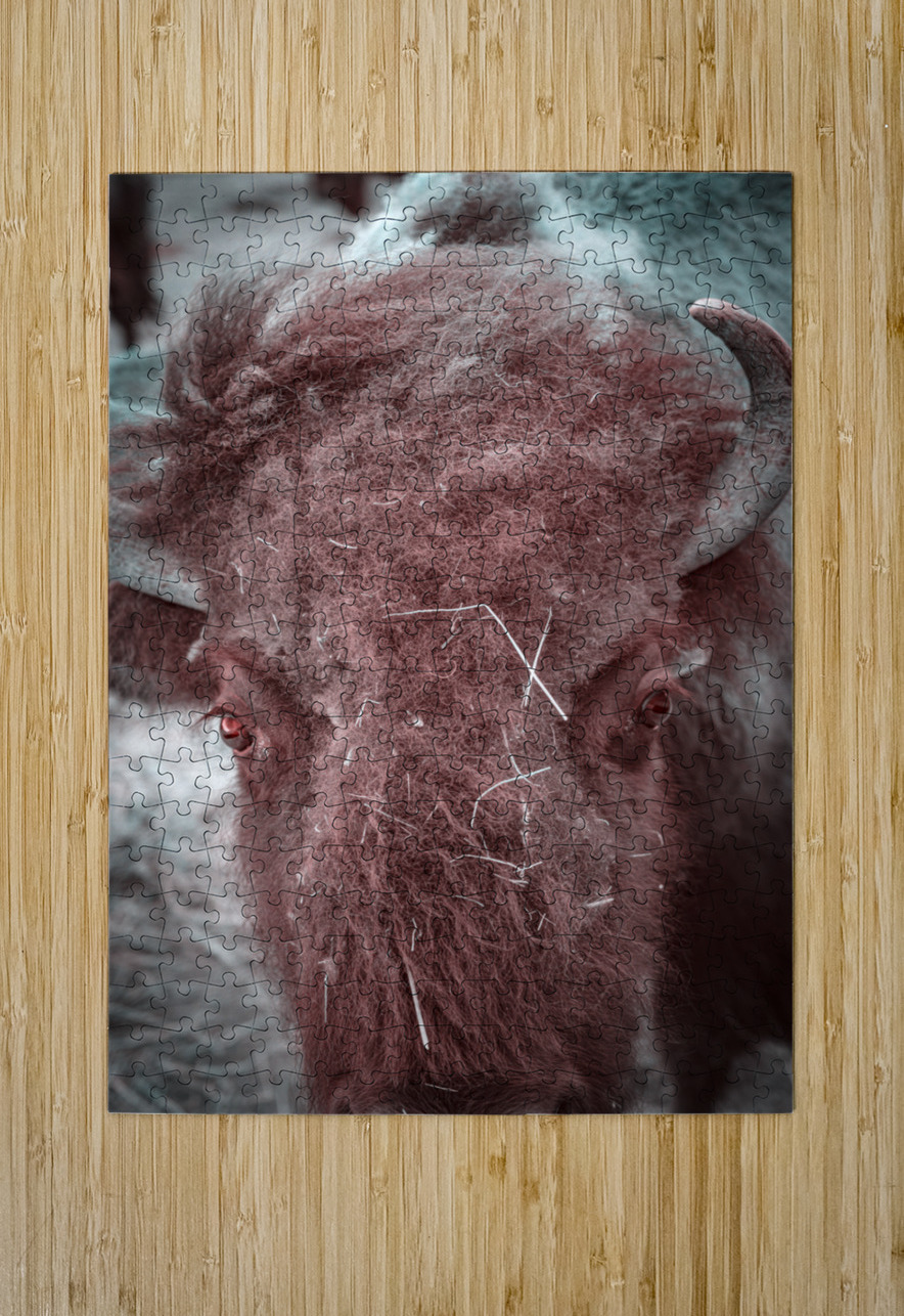 Unkempt Elegance Dream World Images Puzzle printing