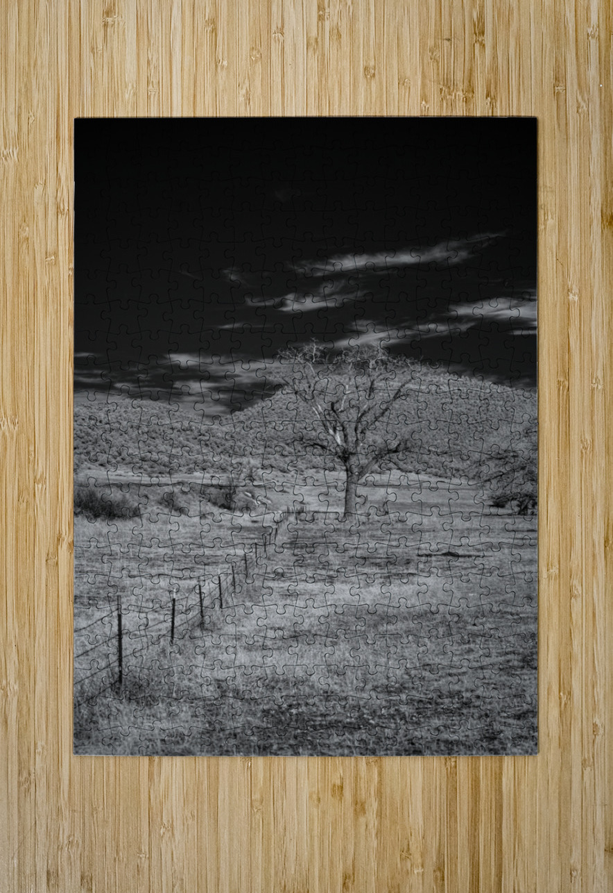 Whispers of Isolation in Monochrome Dream World Images Puzzle printing