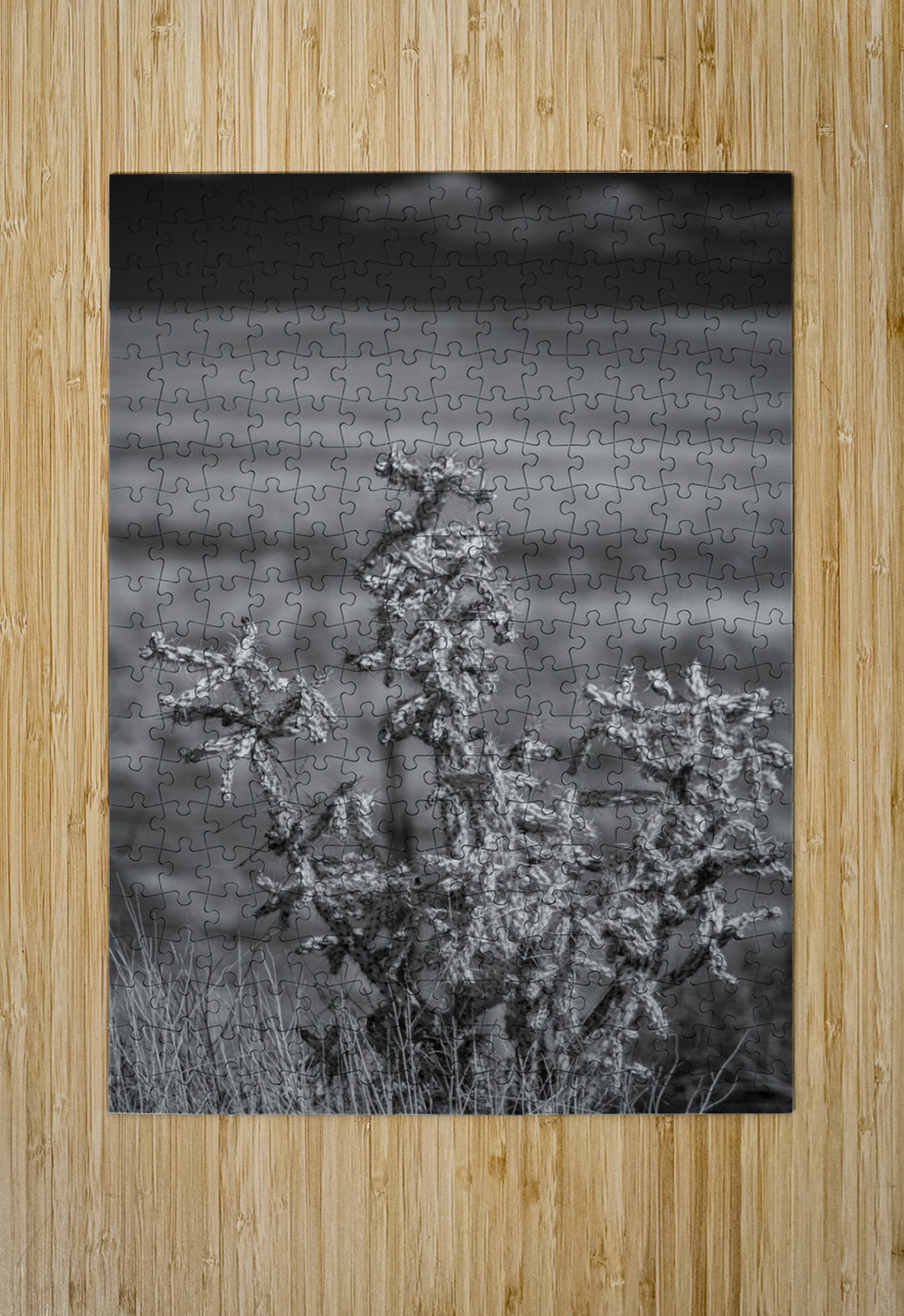 Solitude of Spine Dream World Images Puzzle printing