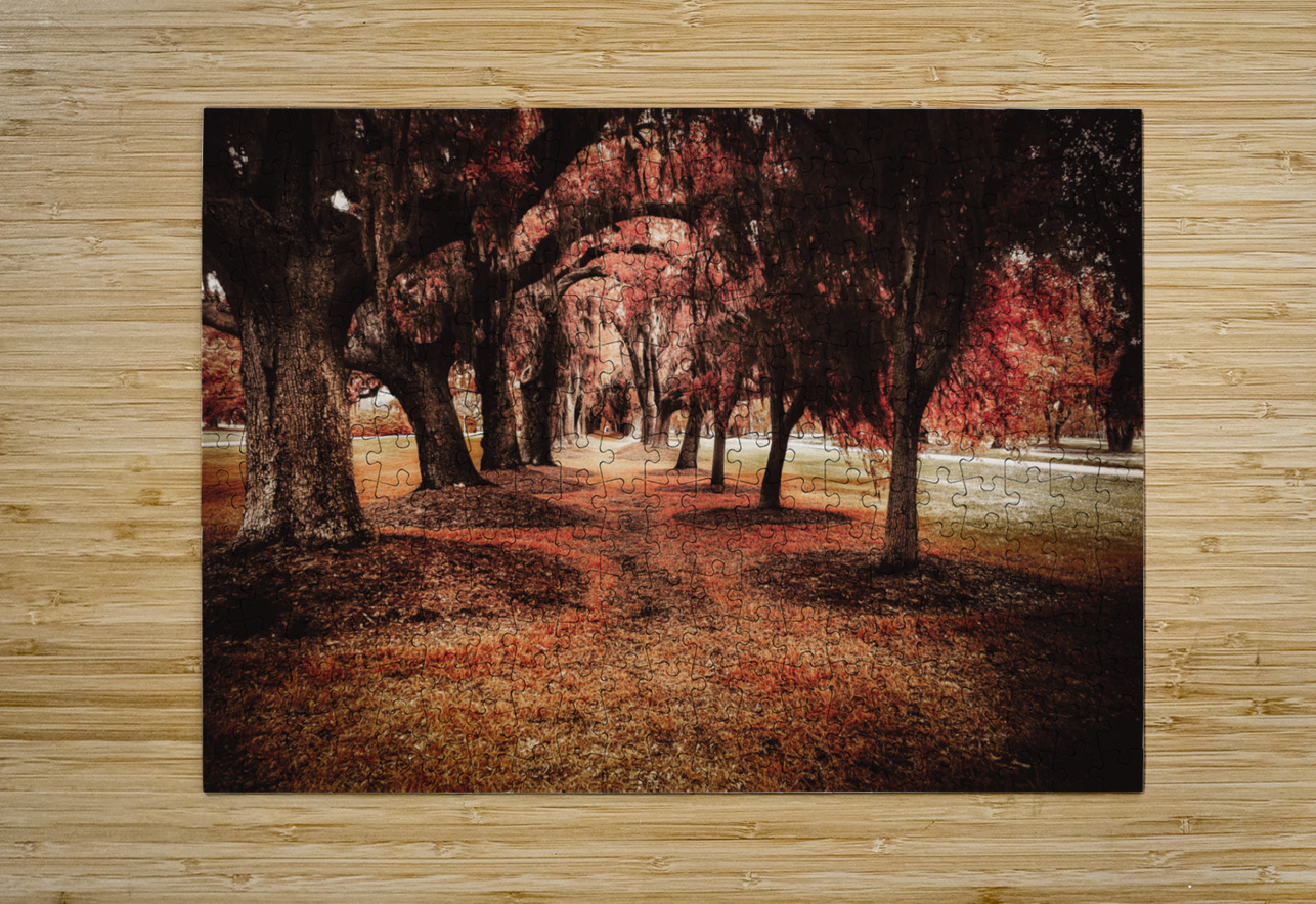 Crimson Avenue of Oaks Dream World Images Puzzle printing