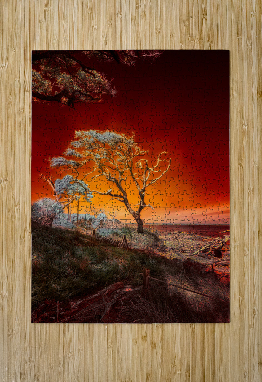 Ruby Bonsai: A Botanical Marvel Unveiled on Driftwood Beach Dream World Images Puzzle printing