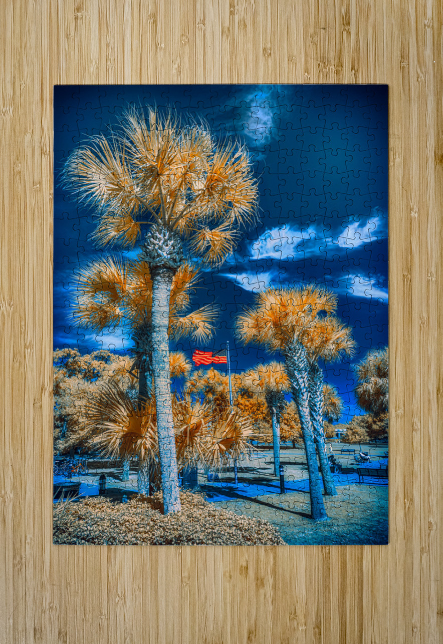 Neptune Park Oasis: A Pictorial Tale of Saint Simons Island Bliss Dream World Images Puzzle printing