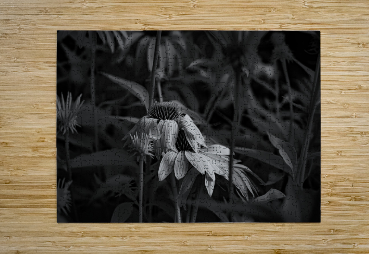 Loris Flowers - 3 Dream World Images Puzzle printing