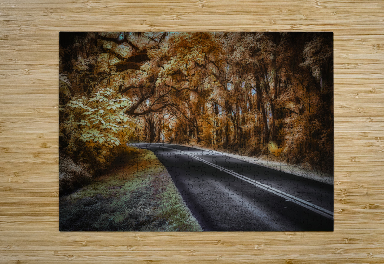 Ocala Secret: Infrared Curve Dream World Images Puzzle printing