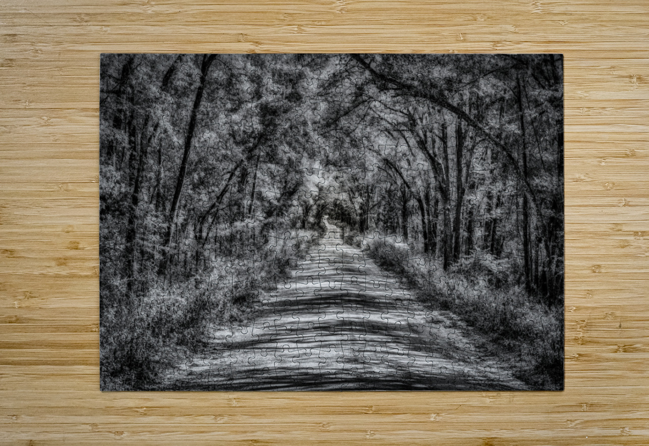 Florida Dirt Road Dream World Images Puzzle printing