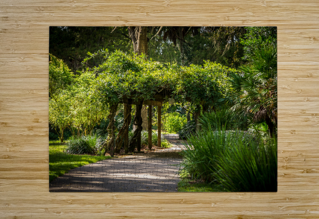 Rainbow Springs Path Dream World Images Puzzle printing