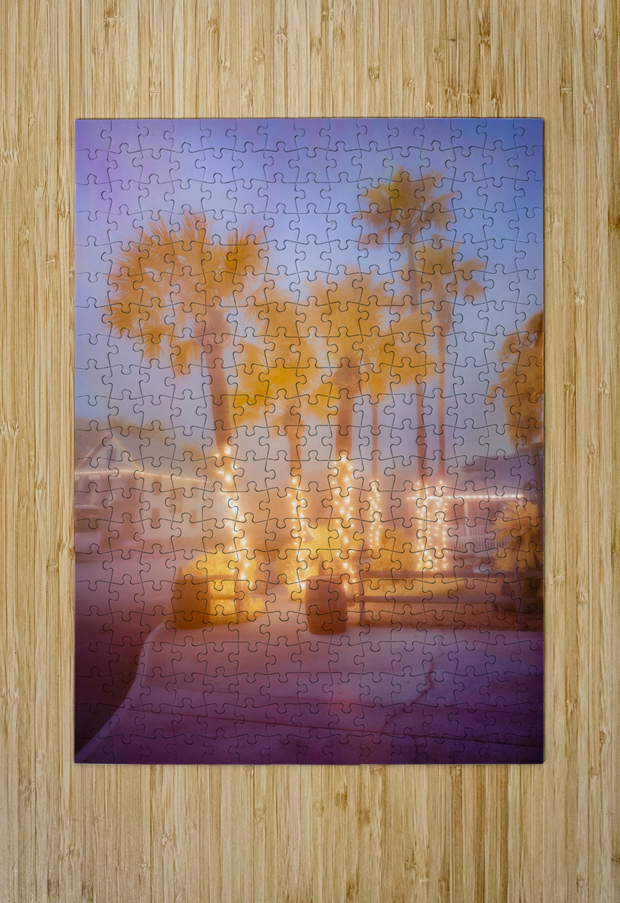 Enchanting Saint Augustine: Palm Trees Aglow with Christmas Magic Dream World Images Puzzle printing