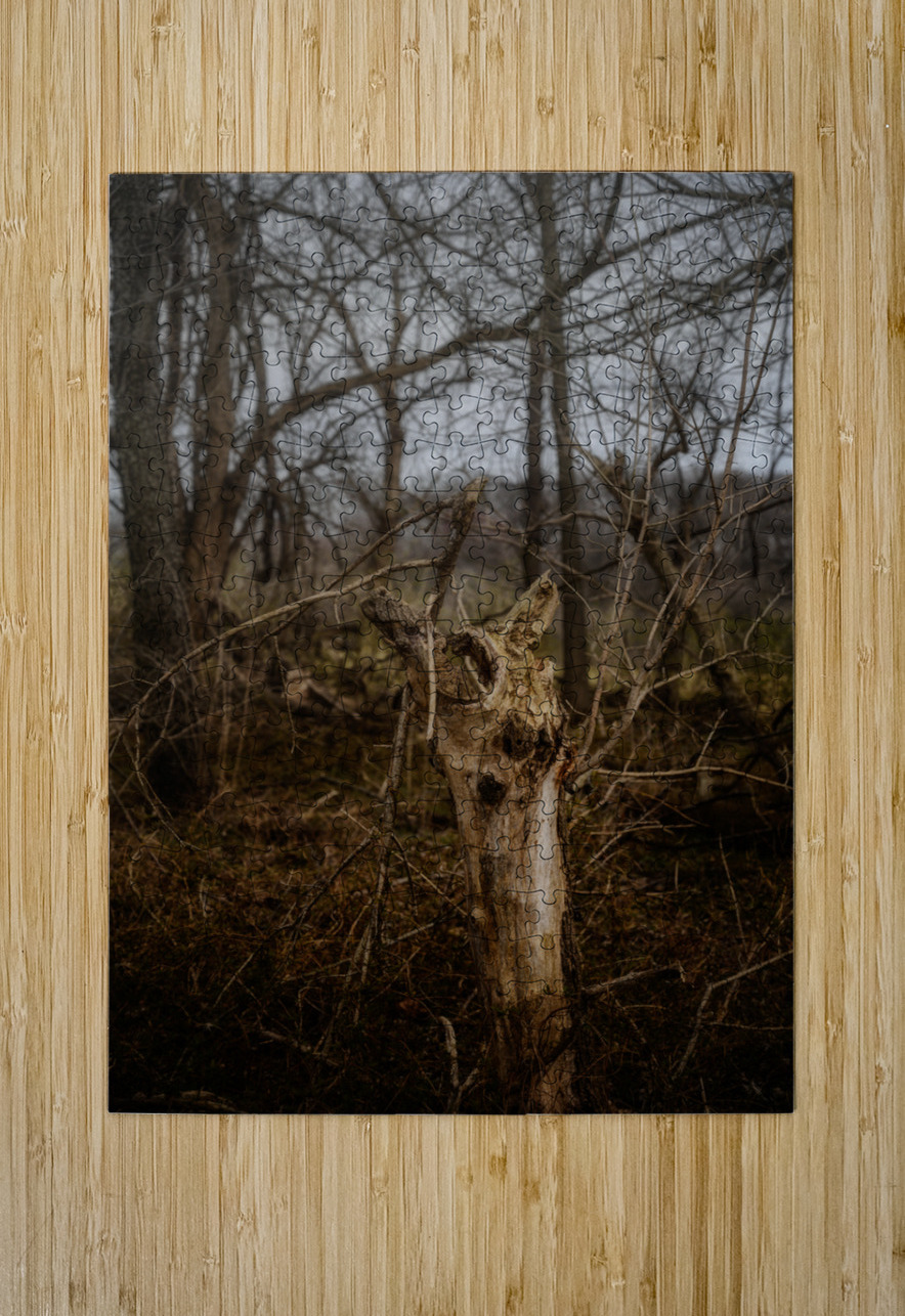 Natures Twisted Remnant Dream World Images Puzzle printing