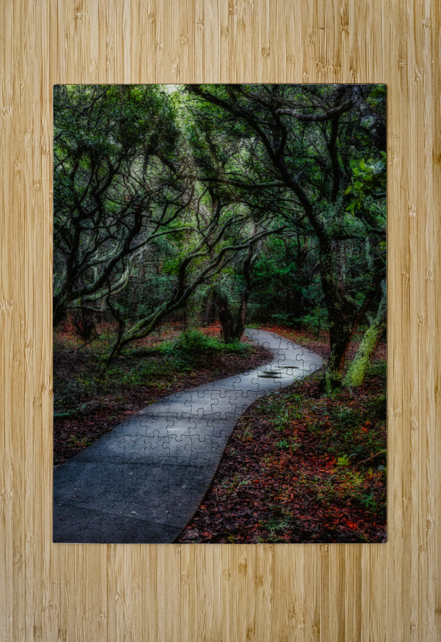 Solitary Trails: Melancholy Path Dream World Images Puzzle printing