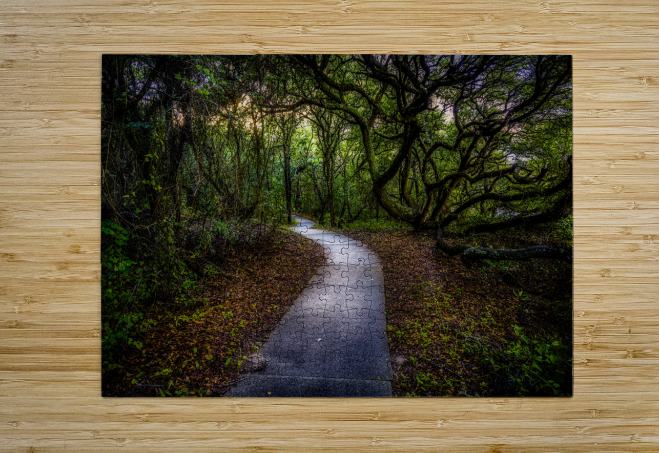 Labyrinth Dream World Images Puzzle printing