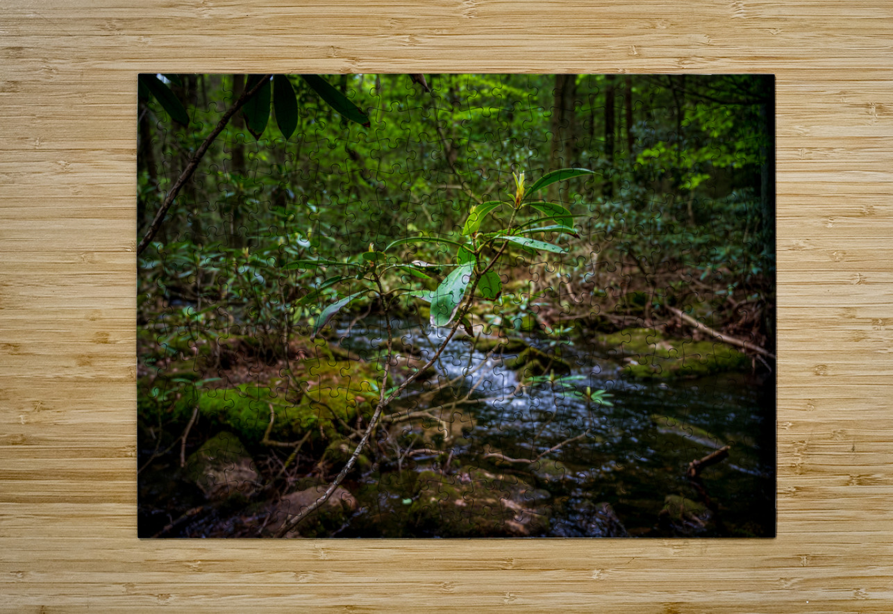 Springs Promise Dream World Images Puzzle printing