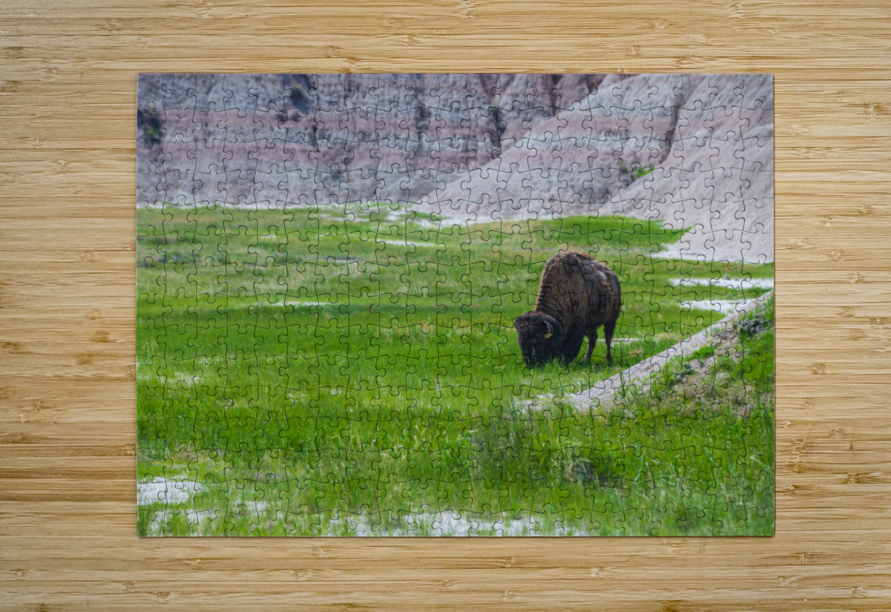 Bison Beauty: Solitary Serenity Dream World Images Puzzle printing