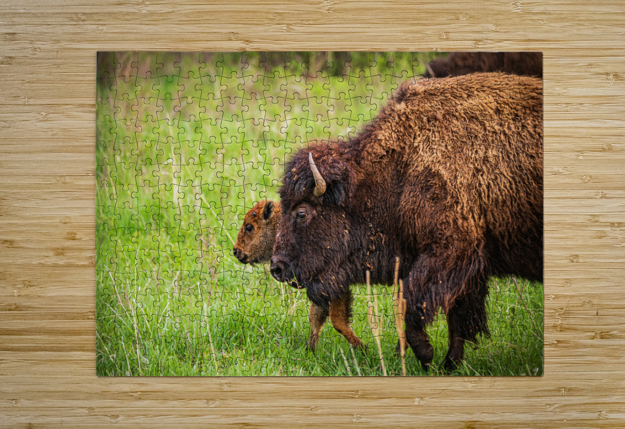Bison Tales: Guardians of the Grasslands Dream World Images Puzzle printing