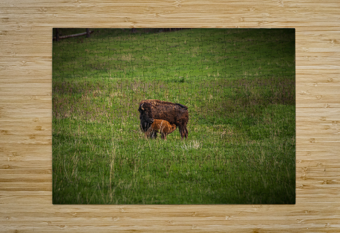 Bison Tales: Herds of the Heartland Dream World Images Puzzle printing