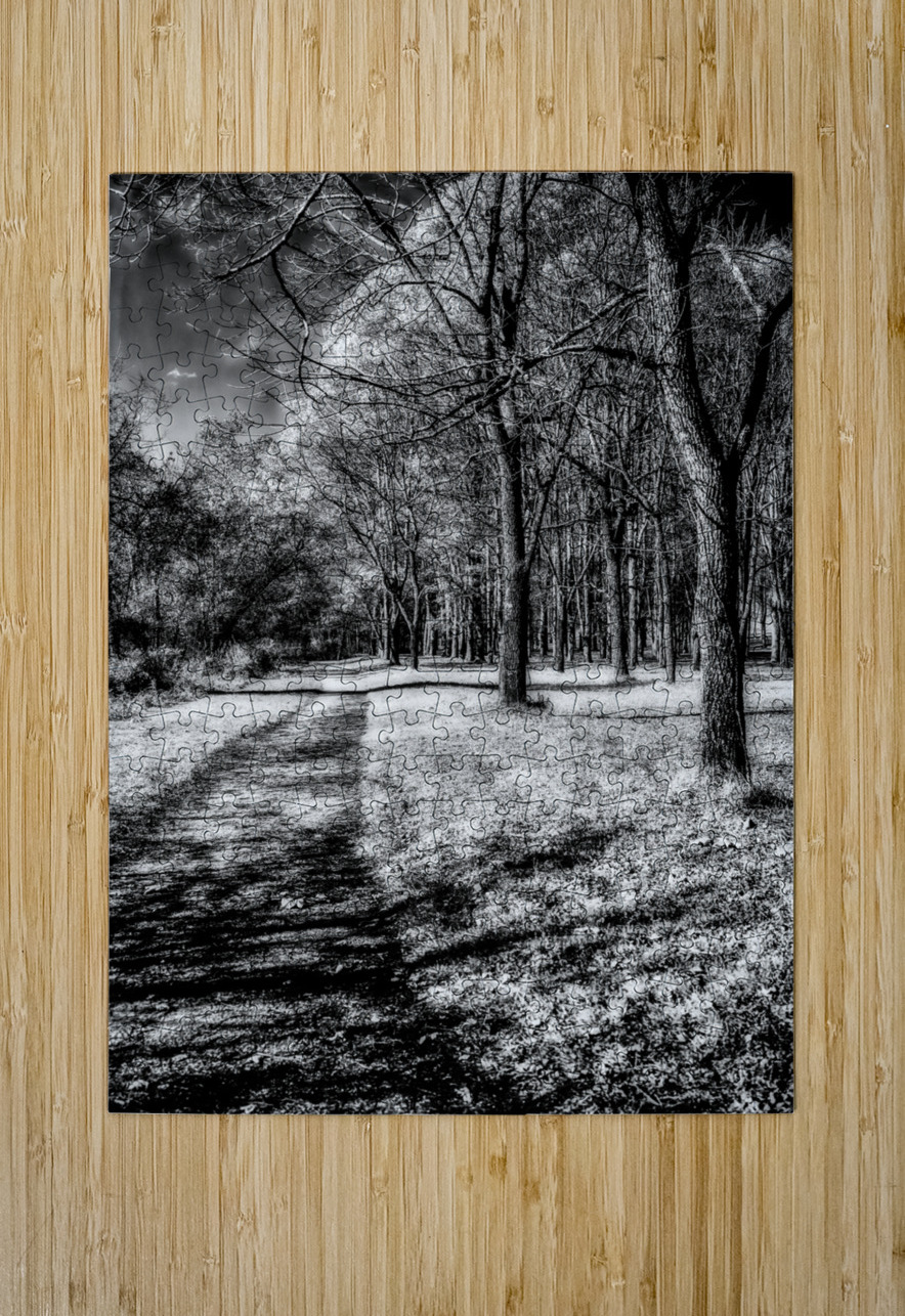 Enchanted Pathways: A Monochrome Overture Dream World Images Puzzle printing