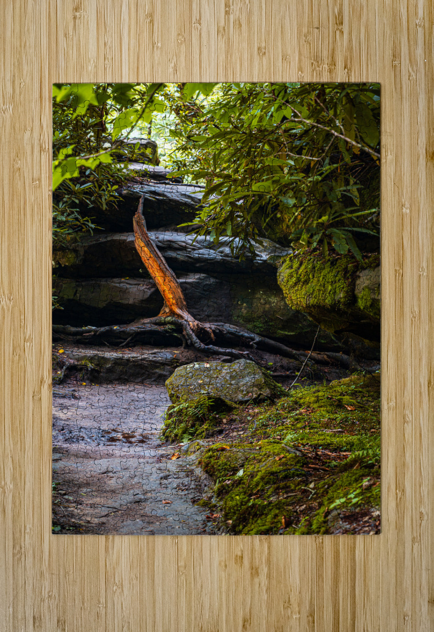 Fiery Stump Dream World Images Puzzle printing