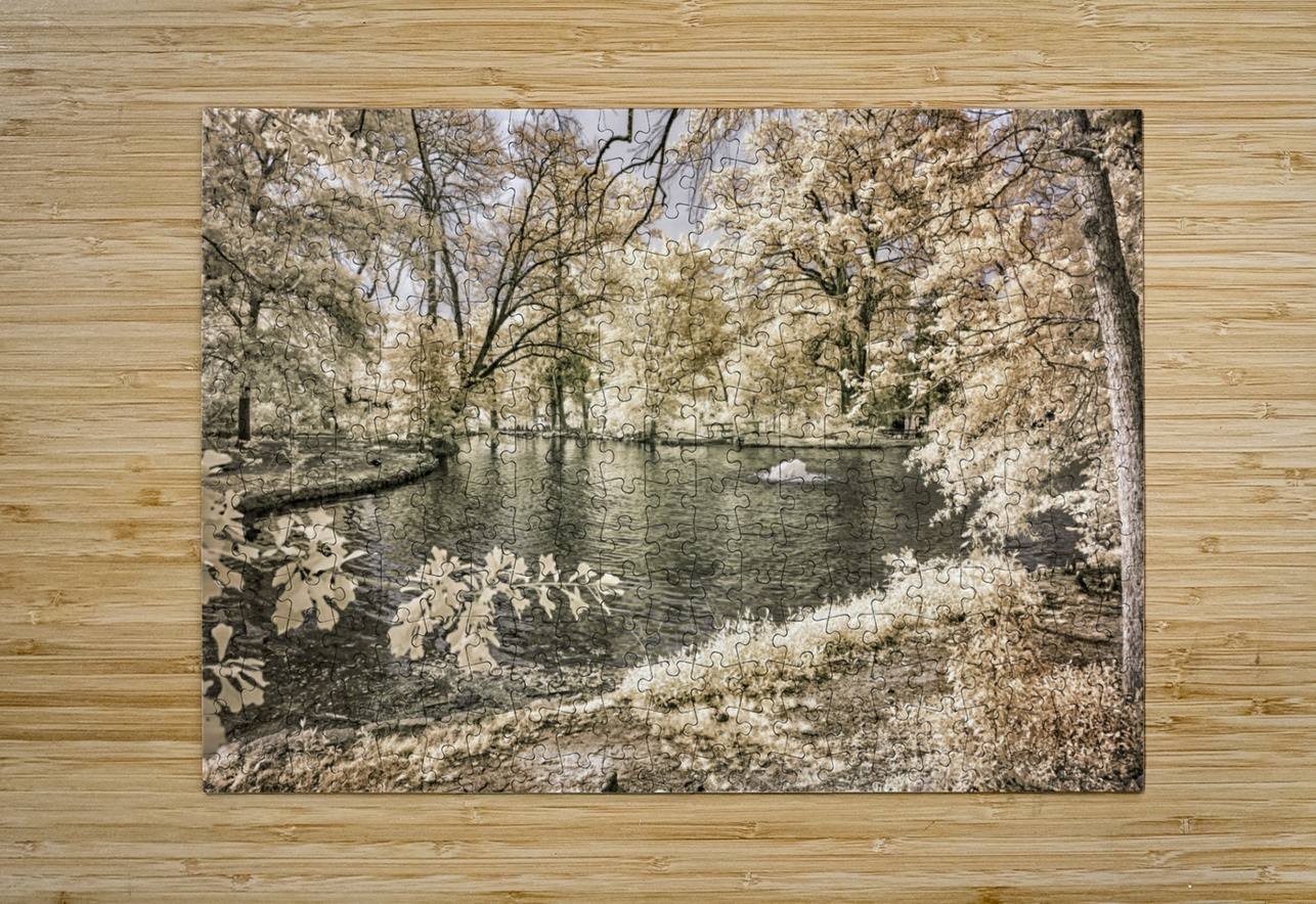 Lake Edge and Overhanging Branches: Sam Houston Site Dream World Images Puzzle printing